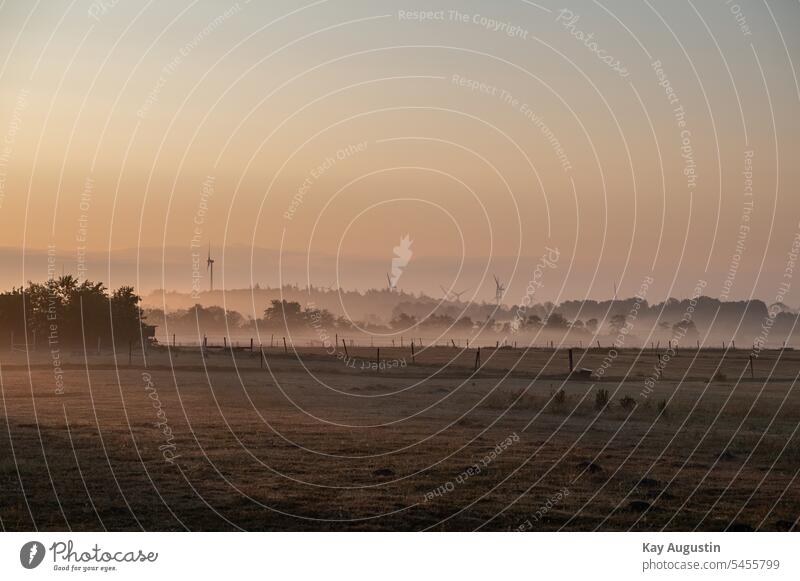 Bodennebel am Morgen morgennebel morgentau tageszeit wasserdampf luft sonnenaufgang luftfeuchtigkeit landwirtschaft landschaften bodennähe bodennebel felder