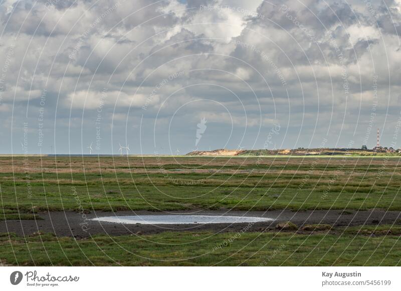 Küste Morsumkiff am Nationalpark Wattenmeer Nordseeküste Insel Horizont Gezeiten Wasser Ebbe ebbe und flut Schlick Meer Ferien & Urlaub & Reisen Sommer Natur