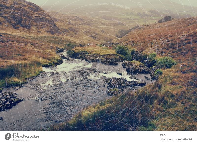 My secret Garden Natur Landschaft Pflanze Wasser Herbst Gras Sträucher Moos Wiese Hügel Felsen Flussufer Bach nass gelb grün fließen Farbfoto Gedeckte Farben