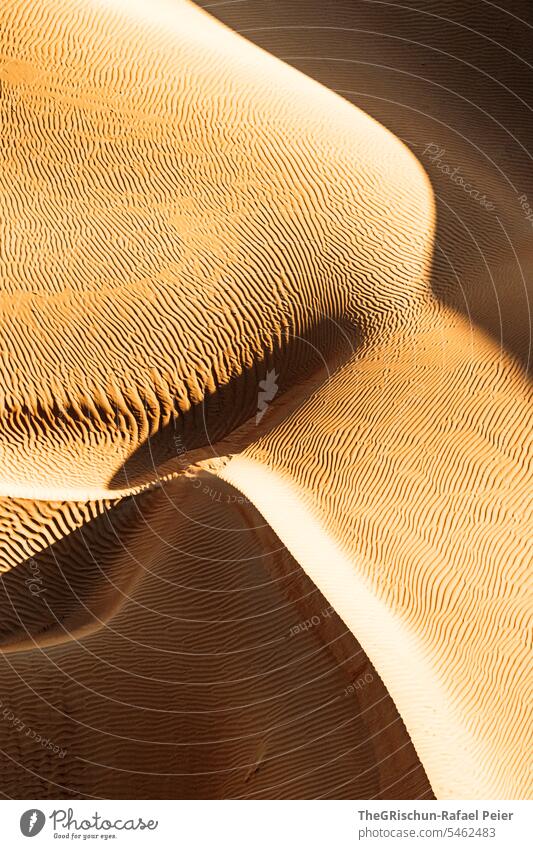 Sanddüne mit Licht und Schattenspiel mit Strukturen Außenaufnahme Farbfoto Natur Sonne Tourismus Wahiba Sands Oman omanische Wüste Landschaft