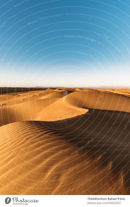 Sanddüne mit Licht und Schattenspiel mit Strukturen Sonnenlicht Außenaufnahme Farbfoto Natur Tourismus Wahiba Sands Oman omanische Wüste Landschaft