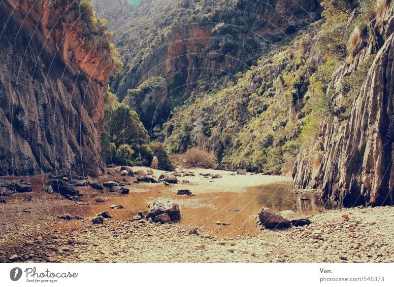 Frühjahrsputz Ferien & Urlaub & Reisen wandern Natur Landschaft Erde Wasser Frühling Pflanze Sträucher Felsen Berge u. Gebirge Schlucht schön Wärme Pfütze Stein