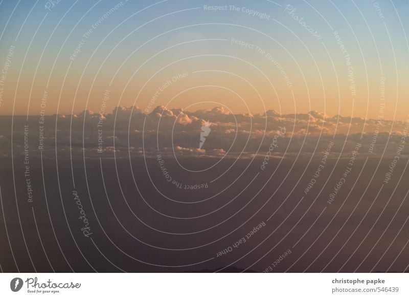 über den wolken Sommer Himmel Wolken Sonnenaufgang Sonnenuntergang Schönes Wetter Ferne hoch weich Ende Horizont Wolkenbild Wolkenformation Farbfoto