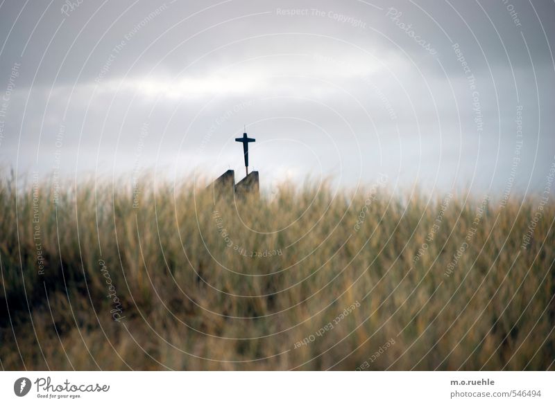 cross and grass Ferien & Urlaub & Reisen Tourismus Ausflug Ferne Strand Umwelt Natur Landschaft schlechtes Wetter Wind Gras Sträucher Wildpflanze Küste Nordsee