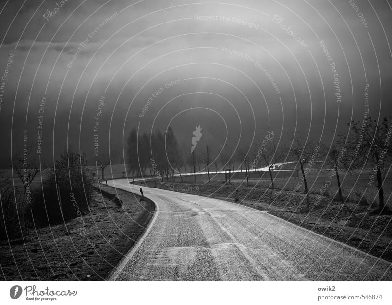 Rolling home Umwelt Natur Landschaft Pflanze Luft Klima Wetter Regen Baum Sträucher Wiese Feld Verkehr Verkehrswege Straße Fahrbahn Kurve Kurvenlage leuchten