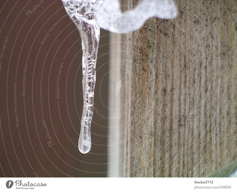 Eiszapfen am Zaun Winter kalt Holz Eistropfen Schnee Wassertropfen