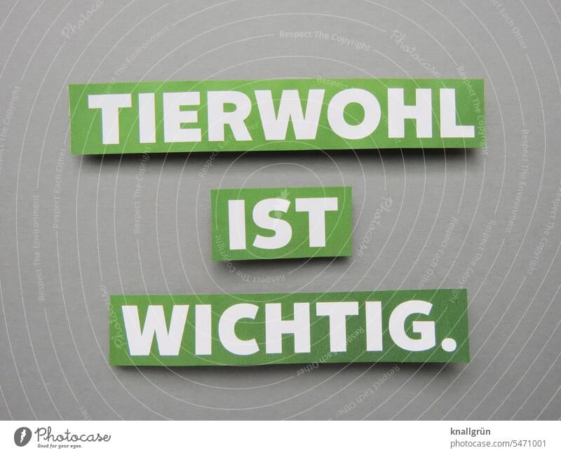 Tierwohl ist wichtig. Schutz Bioprodukte Ernährung Lebensmittel Vegetarische Ernährung Vegane Ernährung Gesundheit ökologisch Tierschutz Buchstaben Wort Satz