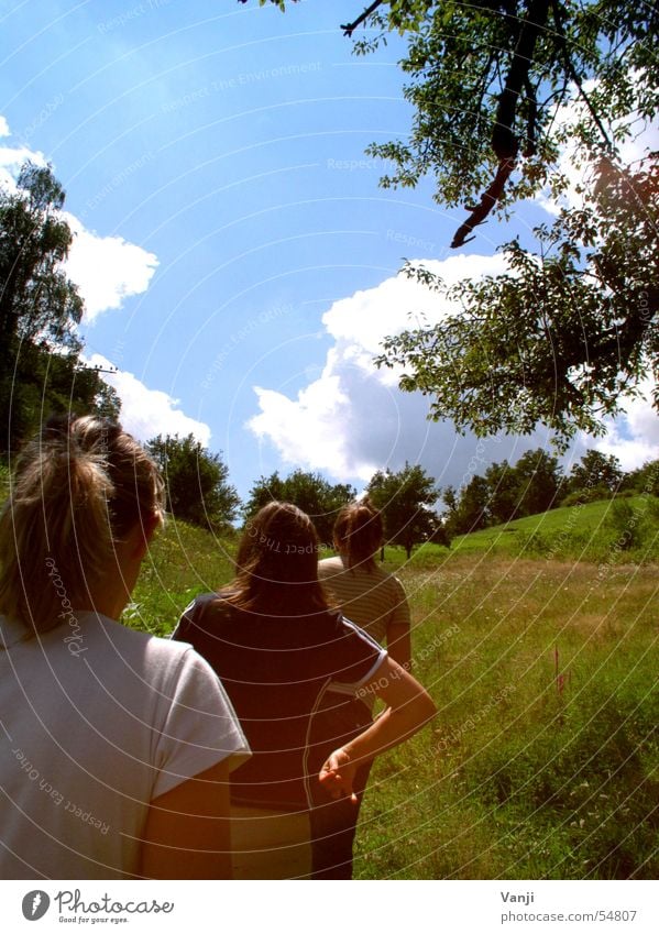 die drei Baum grün Wiese Wolken Frau unterwegs Hügel Sonne 3 frei Sommer Natur blau Himmel Ausflug laufen Freiheit Außenaufnahme Tag