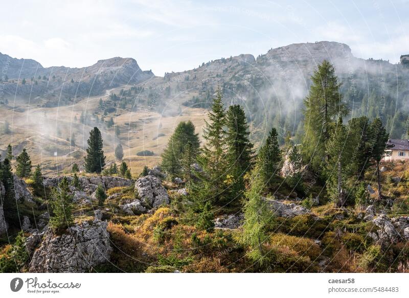 Tiefhängende Wolken in den Bergen des Valparolapasses, Dolomiten in Südtirol Nebel Alpen Landschaft Natur Baum Berge u. Gebirge reisen grün Himmel Sommer See