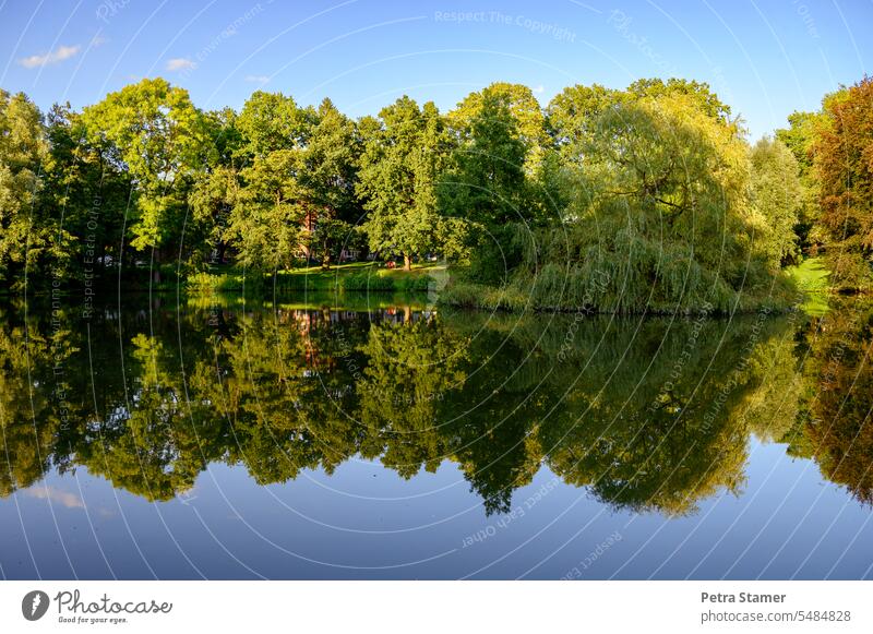 Spiegelung im Stadtparksee Bäume Himmel Landschaft Natur Wolken Spiegelung im Wasser Schönes Wetter blau Sommer grün Tag Pflanze Gras ruhig natürlich