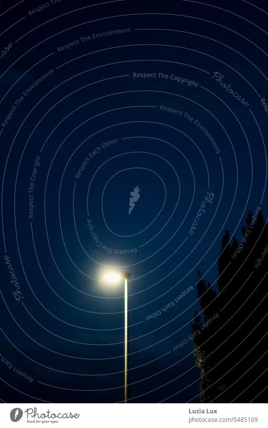 Straßenlaterne vor blauem Nachthimmel Laterne Laternenpfahl Nachtlicht Himmel leuchten Licht Stadt Straßenbeleuchtung Beleuchtung Lampe Abend dunkel