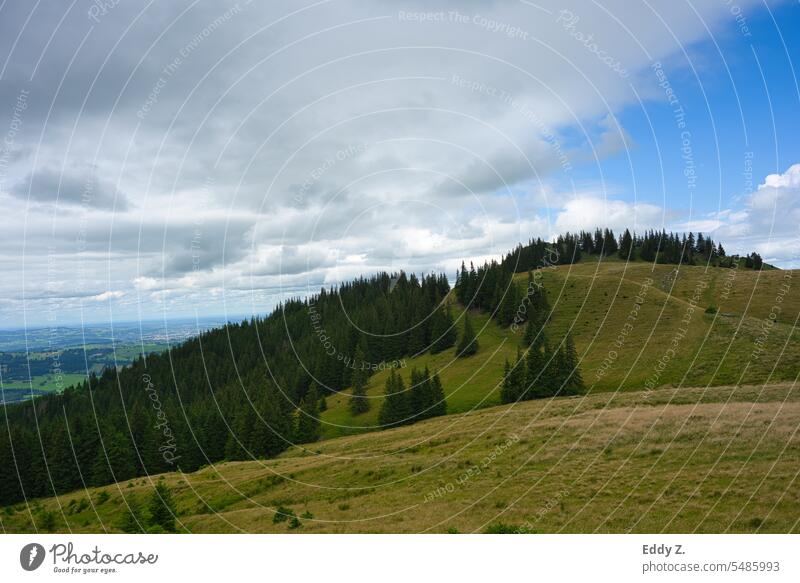 Alpenpanorama Blick Richtung Edelsberg 1630m. Grüne Wälder. Das Allgäu im Hintergrund. wandern Alpenwiese Alpenvorland Panorama (Aussicht) Panorama Alpen