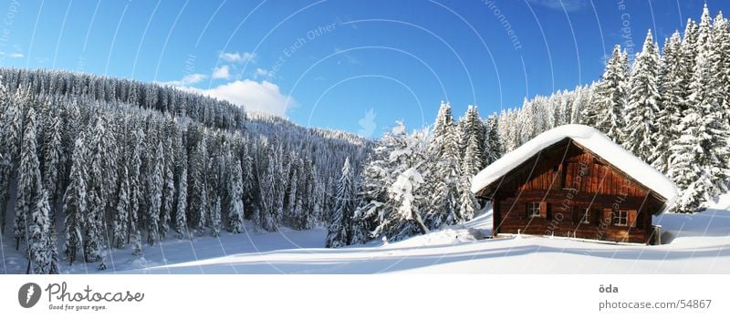 Hüttenpanorama Winter Wald Baum Schnee kalt Tiefschnee Panorama (Aussicht) Alm Sonne groß Panorama (Bildformat)