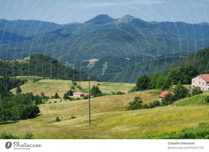 Berglandschaft entlang der Straße zum Passo Cento Croci, Ligurien Appennino Europa Italien La Spezia Farbe Tag grün Landschaft Berge u. Gebirge Natur Fotografie