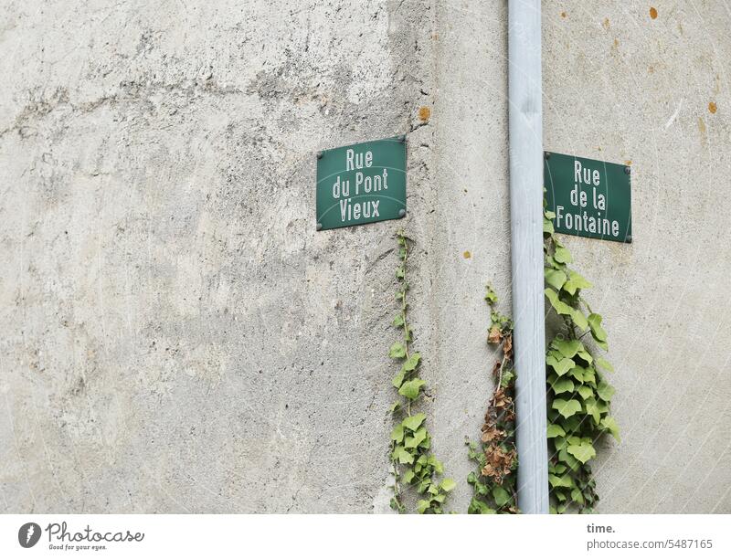 Treffpunkt Straßenecke Mauer Wand Winkel Straßenschilder Straßenname Fallrohr Hausecke Efeu Schild Text Hinweis Orientierung Hinweisschild