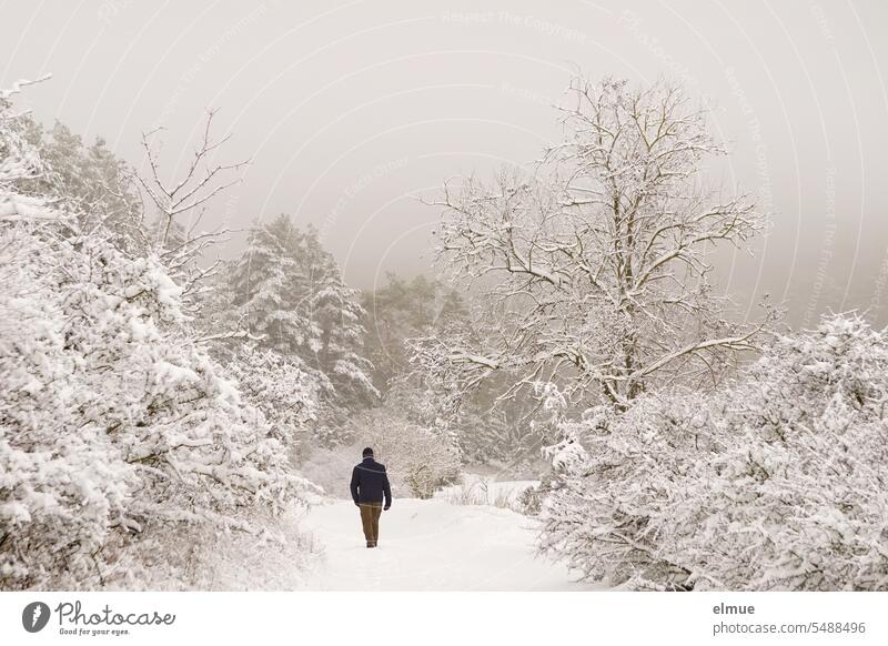 tief verschneite Landschaft mit Bäumen und Sträuchern und einer sich entfernenden Person Winter Winterstimmung Winterstarre Schnee Wintertag Klima