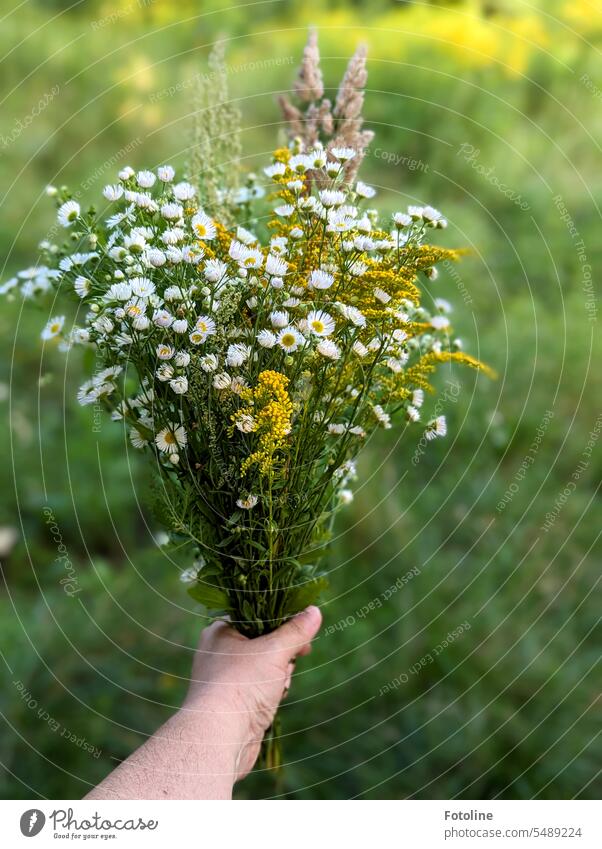 Ich habe für euch mal einen wunderschönen Strauß Sommerblumen gepflückt. Gräser sind auch mit drin. Ich hoffe, ihr habt keinen Heuschnupfen. Blume Blumenstrauß