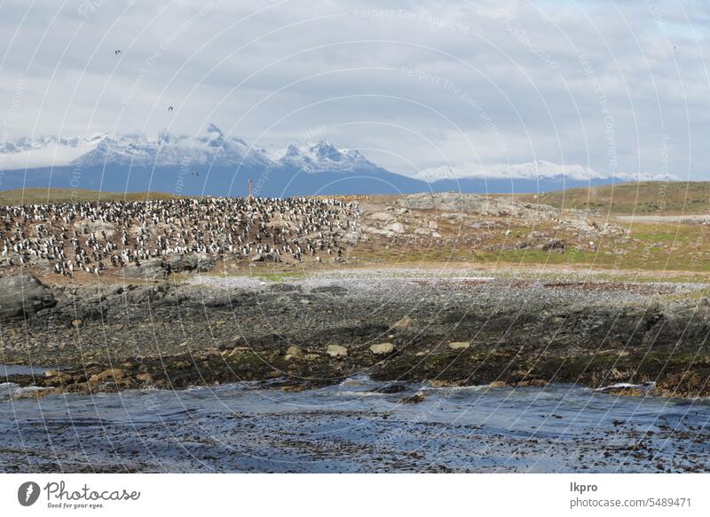 im Land von Patagonien Klimawandel Felsen Tal natürlich calafate Backpacker Granit Abenteuer roy Nationalpark Wildnis Wanderung Wetter Pampas Ausflugsziel