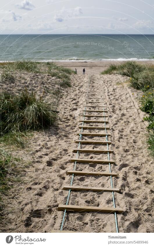 Öffentlicher Zugang zur Nordsee Sand Strand Wasser Weg Düne Leiter Strandgras Wellen Dänemark Meer Natur Küste Nordseeküste Ferien & Urlaub & Reisen Dünengras