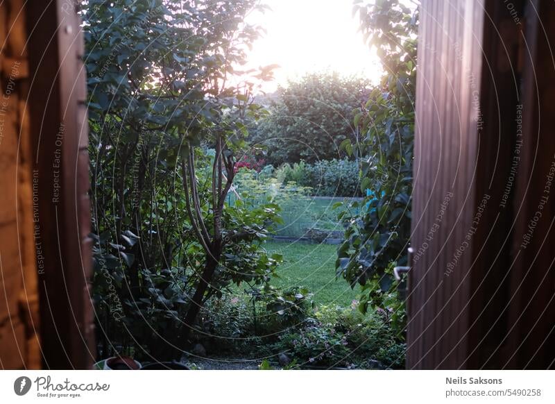 Aus dem Eingang eines Privathauses in den grünen Garten gehen Hintergrund schön blau hell Wolken wolkig Farbe farbenfroh Enten Umwelt Abend Wald Golfschläger