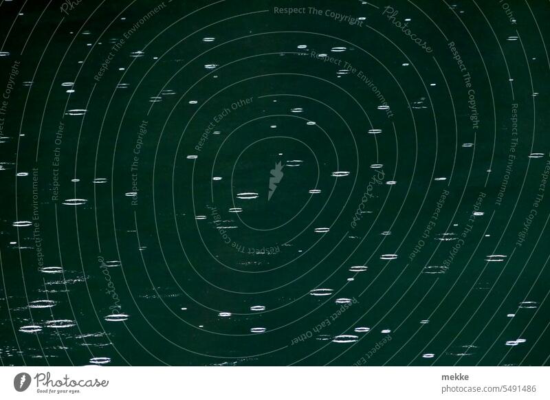 Auch Löcher halten nicht ewig | schnelllebige Löcher im Wasser Wasseroberfläche See Reflexion & Spiegelung Idylle Wasserspiegelung friedlich ruhig Ruhe Regen