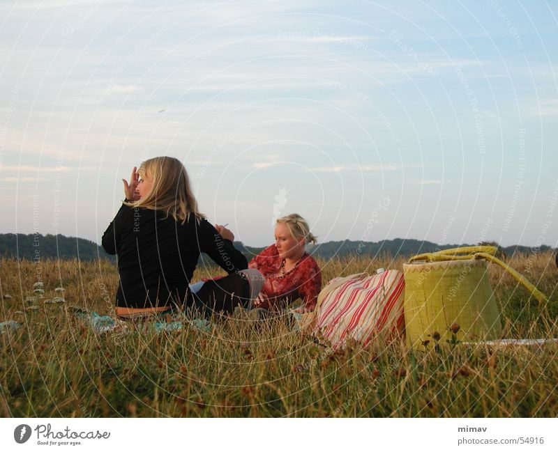 wiesenvergrillung Wiese Frau Gras grün Tasche Blume Bornholm Himmel