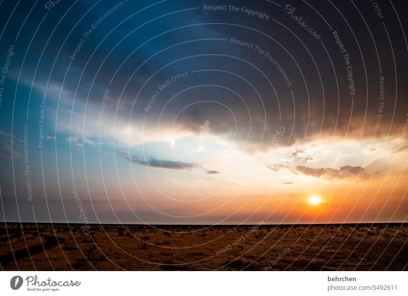 *4 5 0 0* sonnengeschichten Hoffnung Abenddämmerung Sonnenuntergang Regenwolken Unwetter Sonnenlicht Himmel fantastisch Wolken Etoscha-Pfanne Etosha