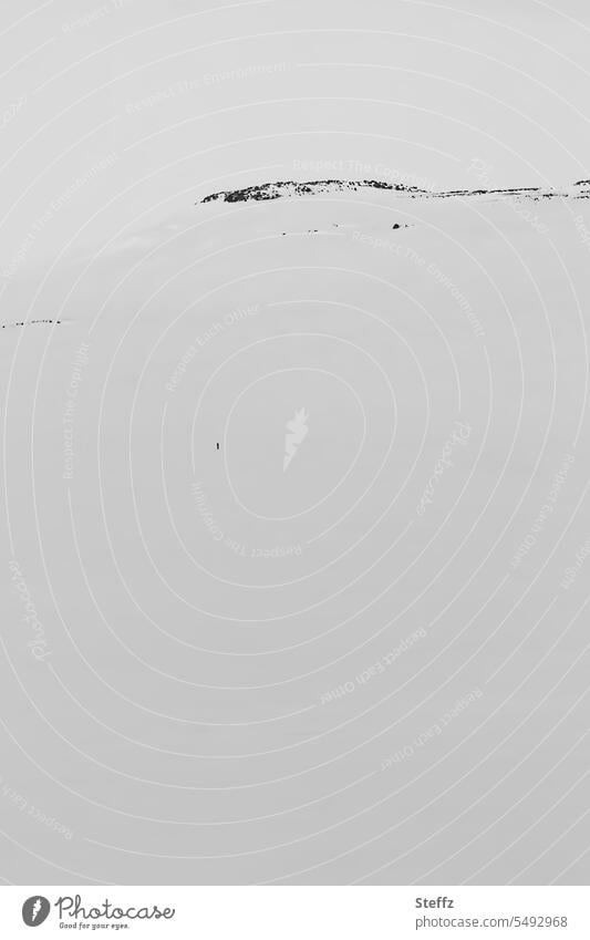 Schnee und Hügel auf Island Ostisland Schneedecke verschneit Schneelandschaft schneebedeckt Islandreise weiß winterlich Winterkälte Einsamkeit Klima Wetter