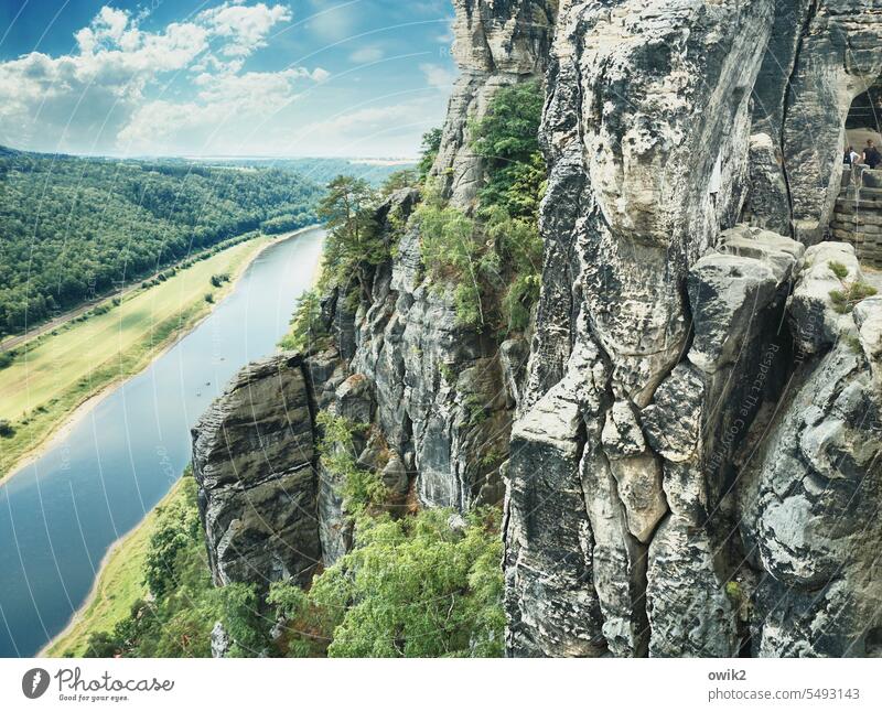 Dicker Brocken Aussichtspunkt Felswand massiv Elbsandsteingebirge Sachsen Berge u. Gebirge Felsen Himmel Wolken Urelemente Pflanze Landschaft Umwelt