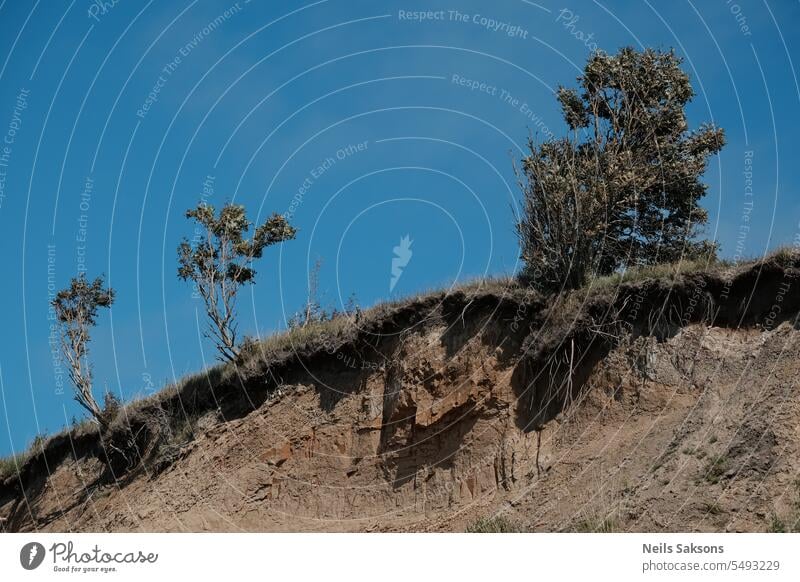 Bäume. Leben oder von der Klippe stürzen - das ist die Frage. Abenteuer Hintergrund schön blau Landschaft Zerstörung ökologisch Umwelt Wald grün Hügel