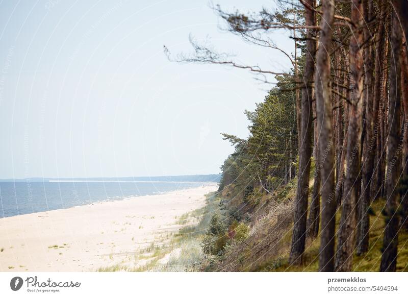 Landschaft an der Küste. Sandstrand und Waldszene. Ruhige Szene. Sommerurlaub Konzept. Freizeit in der Nähe der Natur. Reise-Konzept. Schönheit in der Natur