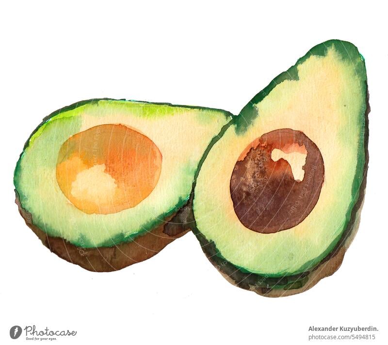 Avocado-Frucht in zwei Hälften geschnitten. Aquarell Skizze Kunst Avocado isoliert Avocados botanische Illustration lecker Diät exotisch Exotische Früchte