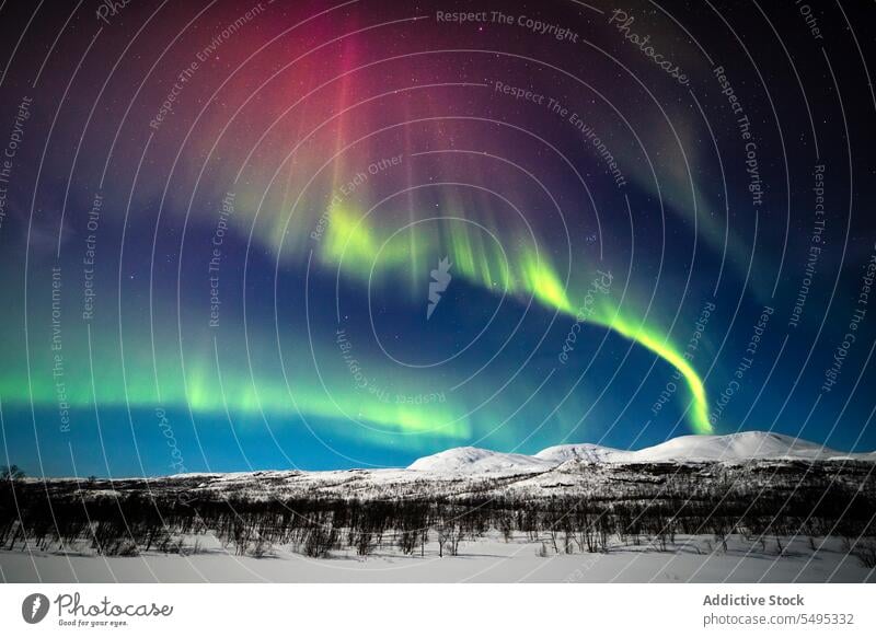 Erstaunliche Aussicht auf Nordlichter über verschneiten Bergen und Bäumen am Himmel nördlich polar Berge u. Gebirge Licht Winter Schnee Nacht sternenklar