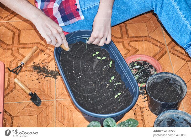 Gärtner beim Pflanzen von Setzlingen im Topf zu Hause Frau sprießen Aussaat Container Boden heimwärts kultivieren Hobby Kunststoff Gartenbau Wachstum Botanik