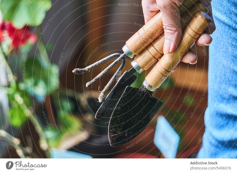 Erntehelfer mit Gartengeräten im Freien Person Pflanze Spaten Hand Gabel Natur Park Botanik Gärtner Grün blau Jeanshose grün Flora Laubwerk stehen lässig Blatt