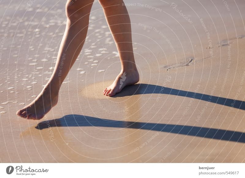 Strandläufer Freizeit & Hobby Ferien & Urlaub & Reisen Sommerurlaub Mensch feminin Junge Frau Jugendliche Beine 1 Schönes Wetter Küste gehen schön Freude