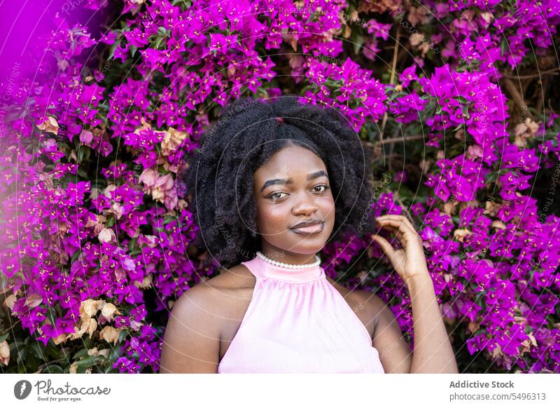 Fröhliches schwarzes Teenager-Mädchen in der Nähe von blühendem Busch mit lila Blumen Afro-Look Porträt krause Haare Garten positiv Lächeln Mode geblümt Frisur