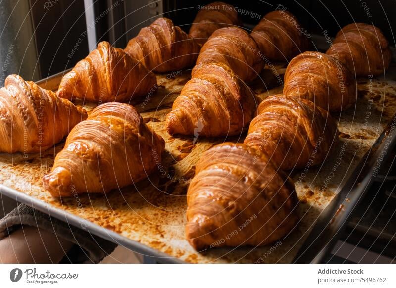 Frisch gebackene Croissants auf der Theke in der Bäckerei Ofen lecker Gebäck Abfertigungsschalter frisch Tablett Hand geschmackvoll Lebensmittel selbstgemacht