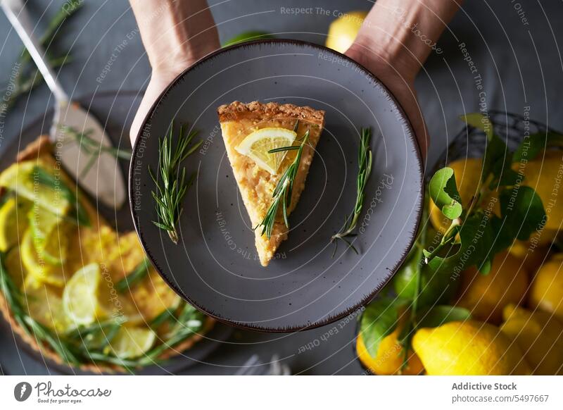 Körperteil einer Person, die einen Teller mit einem Stück Zitronenkuchen hält Pasteten Gebäck selbstgemacht Küche traditionelles Rezept gemütlich süß