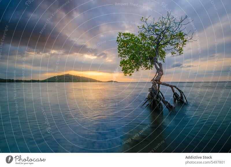 Erstaunlicher Blick auf das Meerwasser bei Sonnenuntergang und Tageslicht malerisch Strand Meeresufer Meereslandschaft Abend wolkig Rippeln Natur Ufer nass