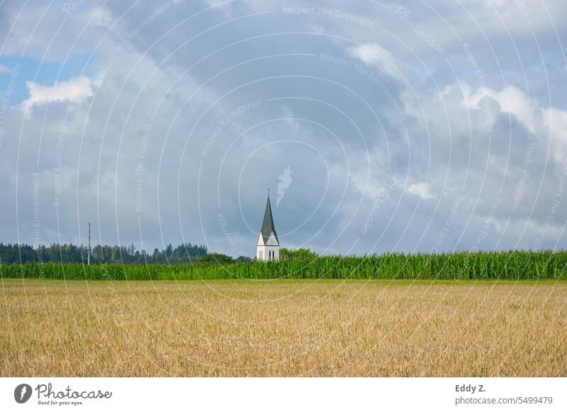 Am Horizont erhebt sich die Spitze einer Kirche, die sich majestätisch gegen den Himmel abzeichnet. Im Vordergrund breiten sich weite Felder aus, die in sanften Wellen die ländliche Landschaft formen und einen ruhigen, idyllischen Anblick bieten.