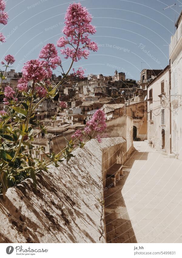 Altstadt Gasse in Italien Sizilien ragusa Ragusa Ibla mediterran alt Ruine Haus Häuser Baustein Ziegeldach beige Dolce Vita italophil Italienisch