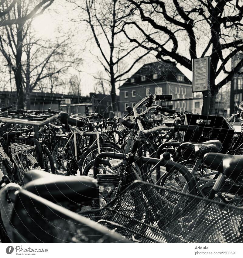 Voller Fahrradparkplatz s/w parken Fahrräder Verkehr Fahrradfahren Parkplatz Rad Mobilität Verkehrsmittel umweltfreundlich Stadt Straßenverkehr Wege & Pfade