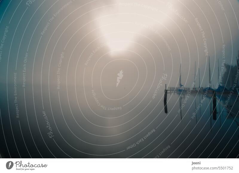 grenzwertig | wenn die Sonne den Nebel durchbricht träumen Kontrast Landschaft Nebelmorgen Sonnenlicht Sonnenstrahlen Morgen Reflexion & Spiegelung
