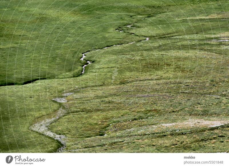 Grünes Rinnsal Wiese Gras Bach Berge u. Gebirge Landschaft grün Natur Sommer Umwelt Alpen Wasser Wildnis Hochebene Grünfläche Weide frisch unberührt Naturschutz