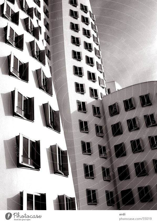 Gehry Zollhof Haus Fenster Wellen Gebäude krumm Kunst seltsam Gehry Bauten Düsseldorf medienhafen Schatten houses building buildings architecture window windows