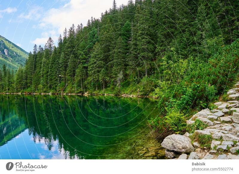 Fichtenwald bei blauem See in den Bergen. Naturlandschaft Morskie Oko Seeauge Wald Landschaft Nationalpark Tatra grün Zakopane im Freien Tag horizontal Polen