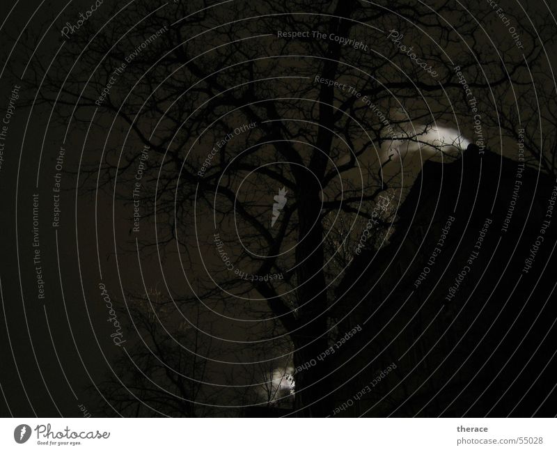 Keine Wahl Nacht dunkel Wolken Baum Haus unheimlich geheimnisvoll Geäst Winter gruselig Märchen Dach sternenklar weiß Leipzig Springerstraße dark Rauch Himmel