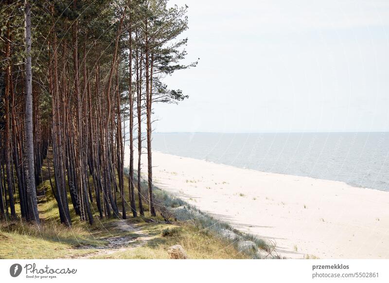 Landschaft an der Küste. Sandstrand und Waldszene. Ruhige Szene. Sommerurlaub Konzept. Freizeit in der Nähe der Natur. Reise-Konzept. Schönheit in der Natur