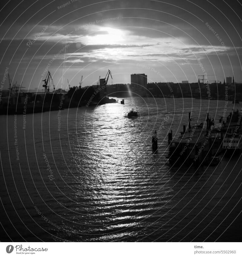 Abend über Hamburg Hamburger Hafen Gegenlicht Wasser Elbe Horizont Skyline Kran Hochhaus Poller Hafenstadt urban maritim Himmel Wolken Sonnenlicht Schatten